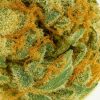 Amnesia-Haze-30 Amnesia Haze Jaune - L'Atelier HC