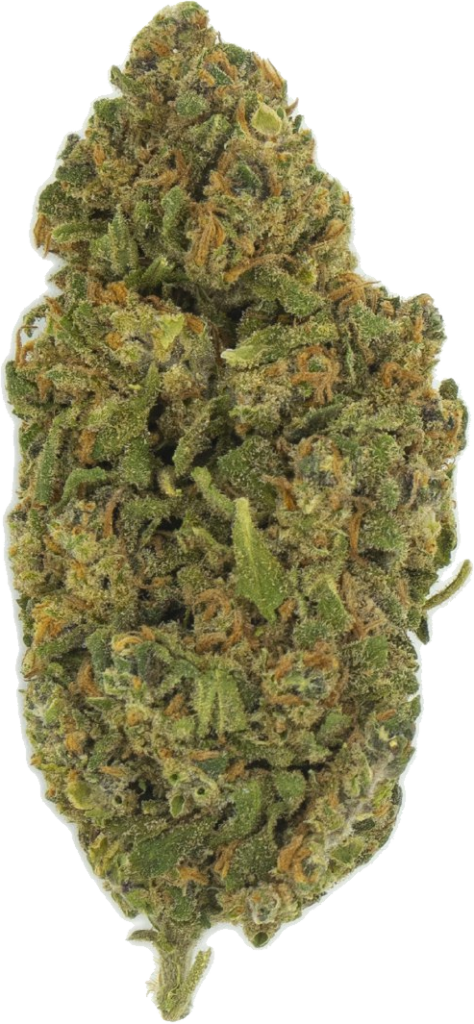 Amnesia Haze Jaune