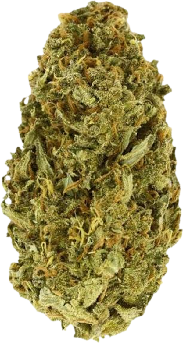 Amnesia_detouree Amnesia Haze Verte